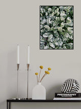 Frosted Poster och Canvastavla