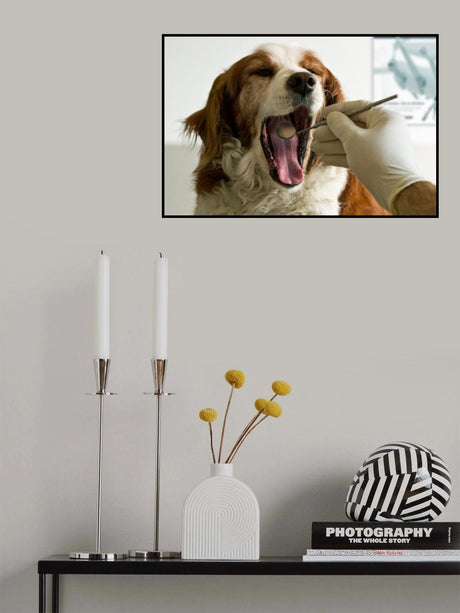 Modern Times Poster och Canvastavla
