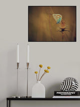 Late summer meadow. Poster och Canvastavla