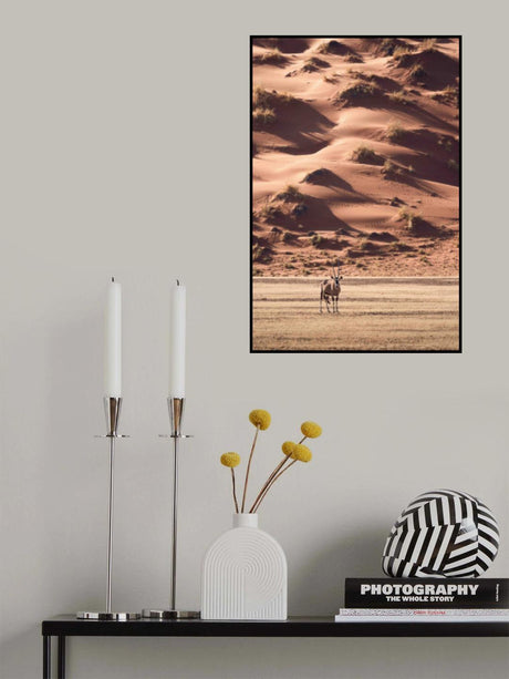 A sunset walk in the desert Poster och Canvastavla