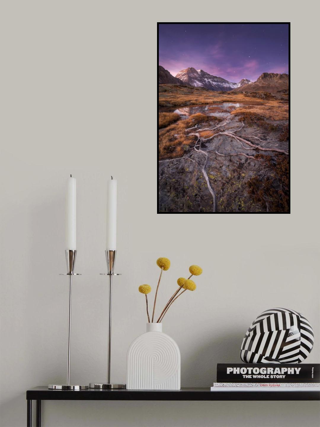 Dry Autumn Poster och Canvastavla