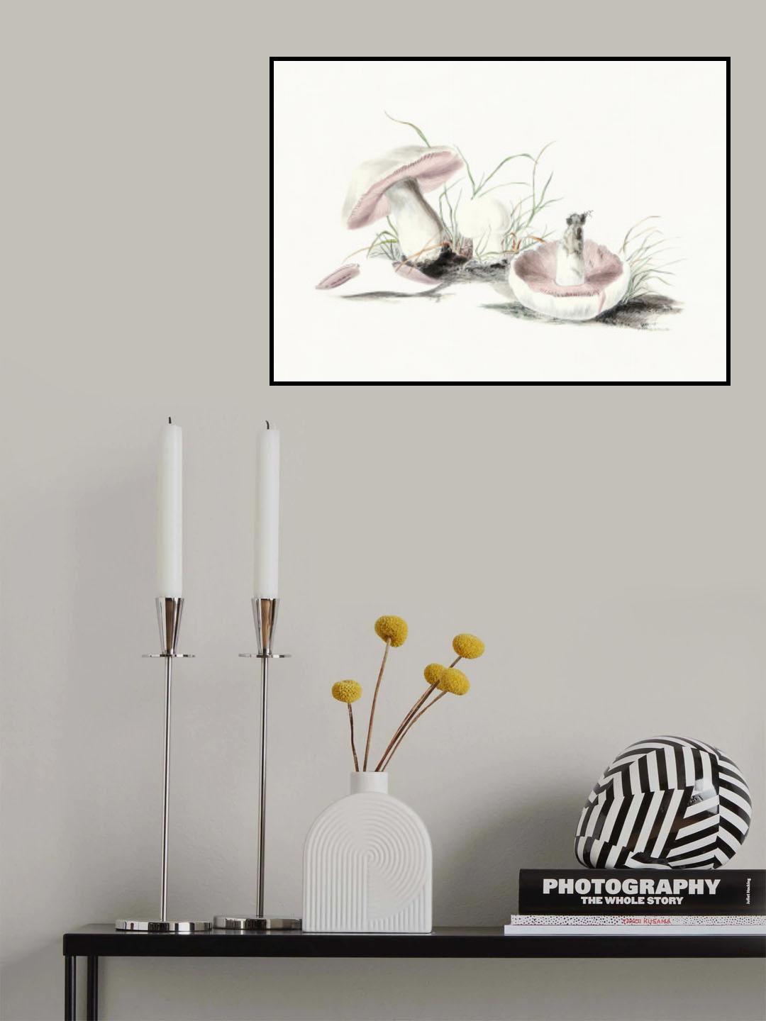 Hand Drawn Field Mushroom Poster och Canvastavla