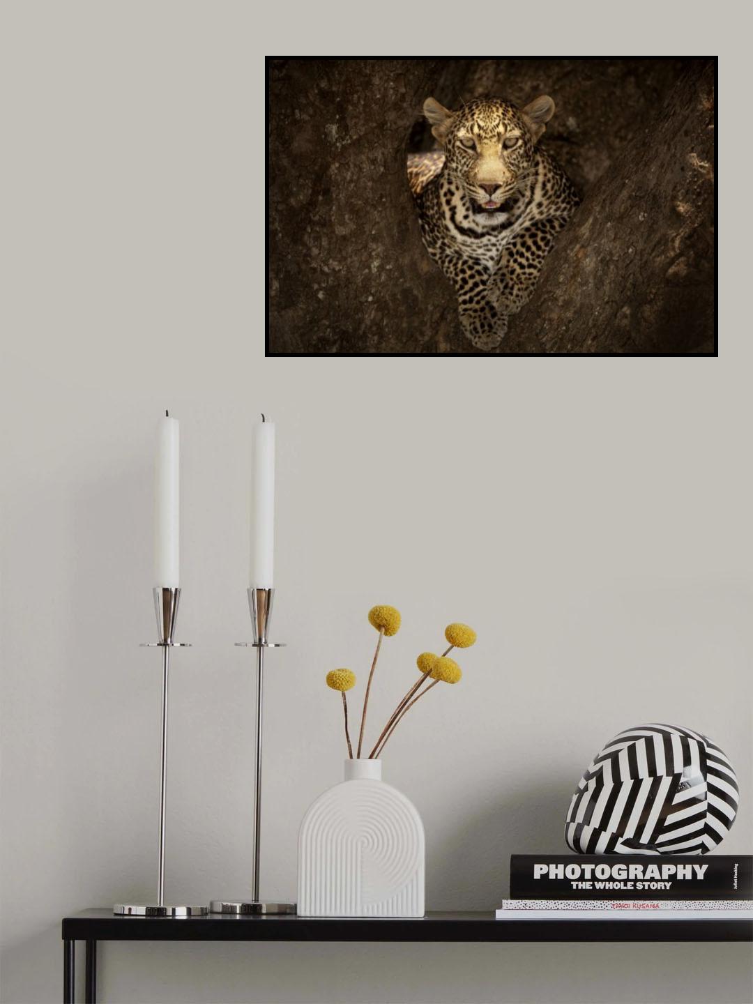 Leopard Resting on a Tree at Masai Mara Poster och Canvastavla