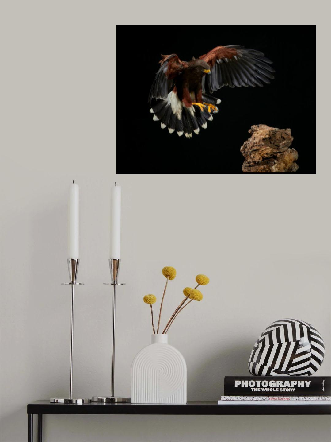 Landing Poster och Canvastavla