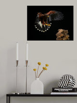 Landing Poster och Canvastavla