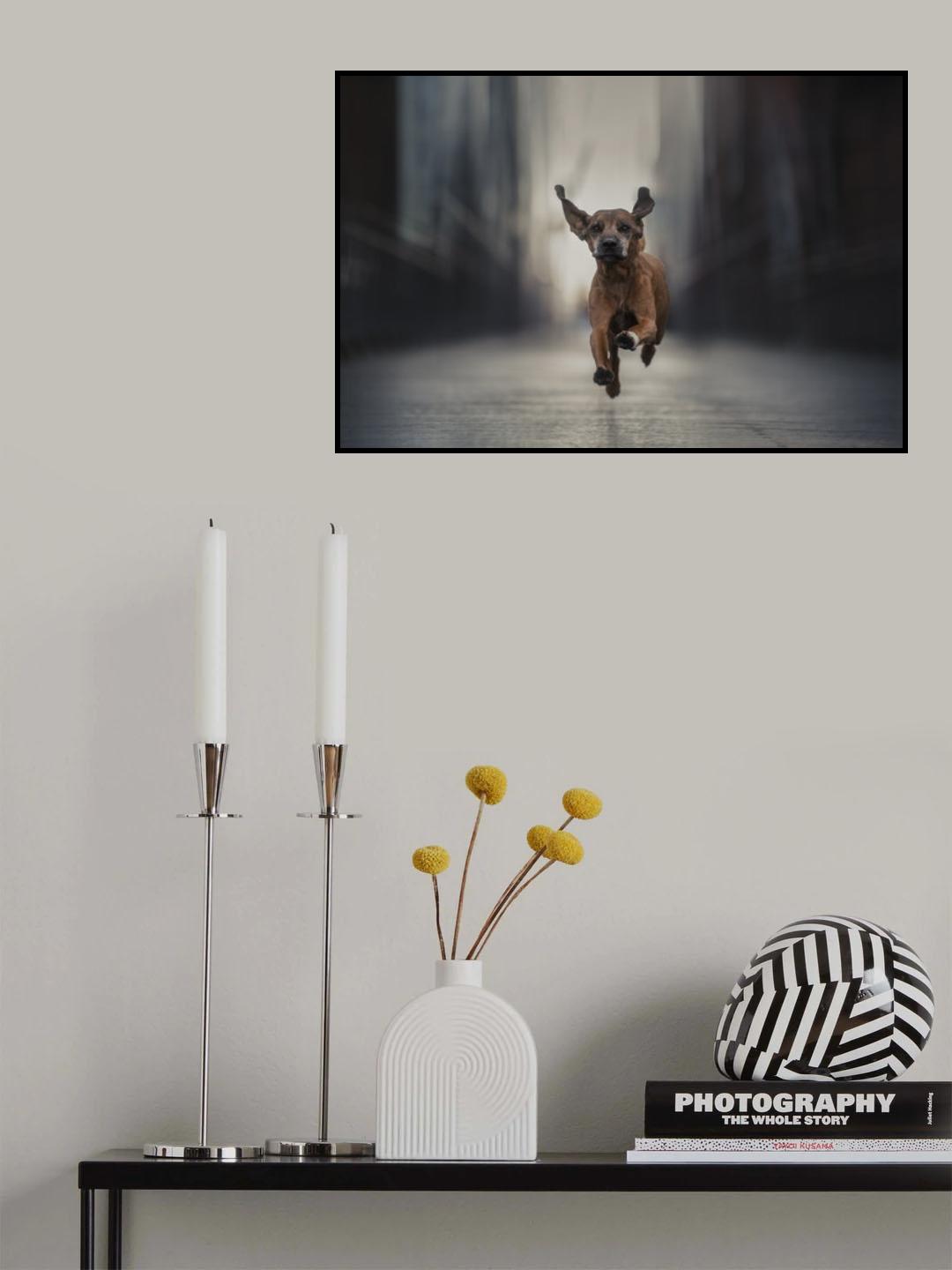 Run like the Wind (Vol. II) Poster och Canvastavla