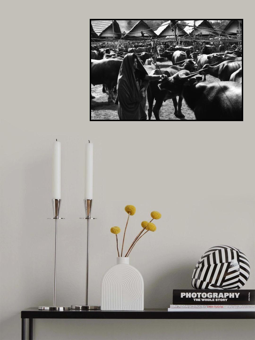 Buffalo market Poster och Canvastavla