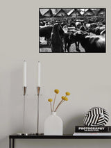 Buffalo market Poster och Canvastavla