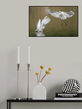 Dance Poster och Canvastavla