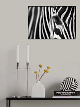 Zebra Maze Poster och Canvastavla
