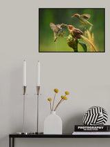 feeding Poster och Canvastavla