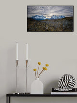 The trees Poster och Canvastavla