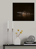 swan's morning Poster och Canvastavla