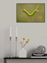 Caterpillar and Leaves Poster och Canvastavla