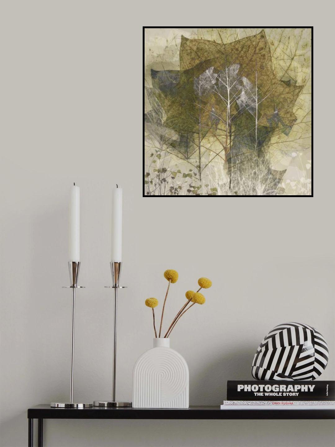Transient Poster och Canvastavla