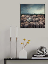 Dare to be different Poster och Canvastavla