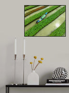 Care of floating Vegetable seedlings Poster och Canvastavla