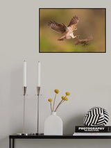 *** Poster och Canvastavla