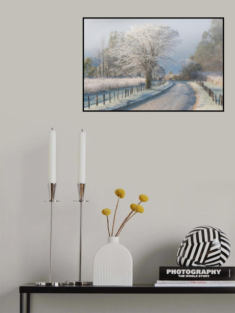 A Frosty Morning Poster och Canvastavla