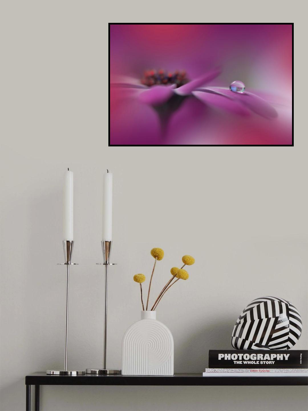Celebration of Life.. Poster och Canvastavla