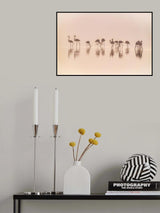 Flamingos in the mist Poster och Canvastavla