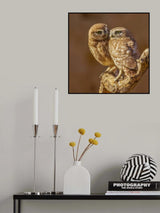 My beauty Poster och Canvastavla
