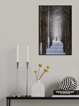 A Walk In The Forest Poster och Canvastavla