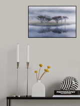 Into Fall Poster och Canvastavla