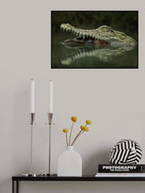 Reflection Poster och Canvastavla
