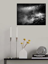 herd of sheep Poster och Canvastavla