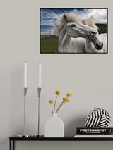 Playtime Poster och Canvastavla