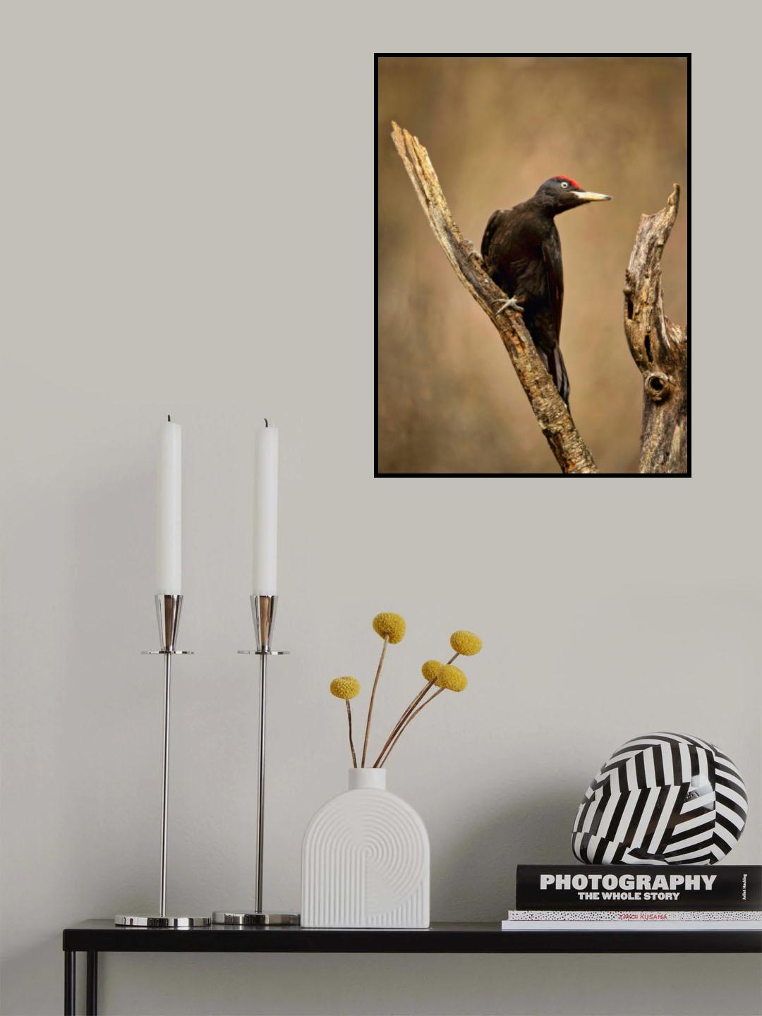 CONTROLLING Poster och Canvastavla
