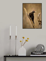 CONTROLLING Poster och Canvastavla