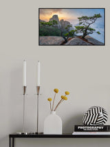 Dancing trees of Eden Poster och Canvastavla
