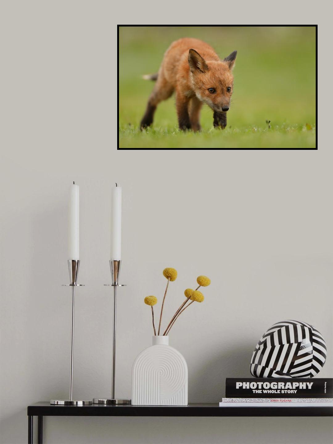 Hunter Poster och Canvastavla