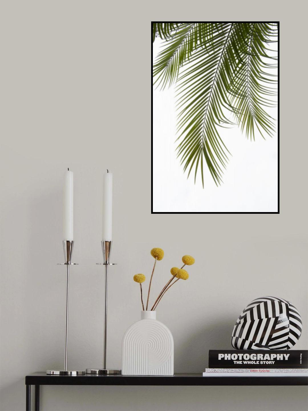 Palm Leaves Foliage Photo II Poster och Canvastavla