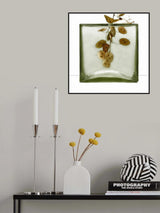 Mo(nu)ments of Rest # 16 Poster och Canvastavla