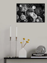 natural patterns Poster och Canvastavla