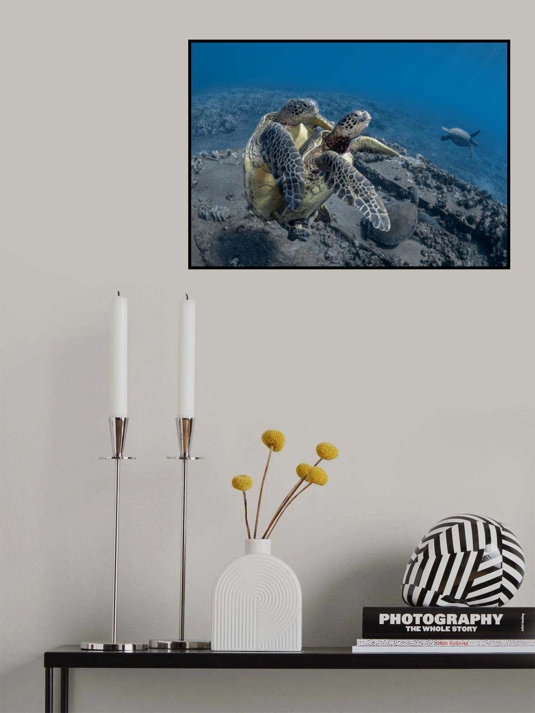 Love in blue Poster och Canvastavla