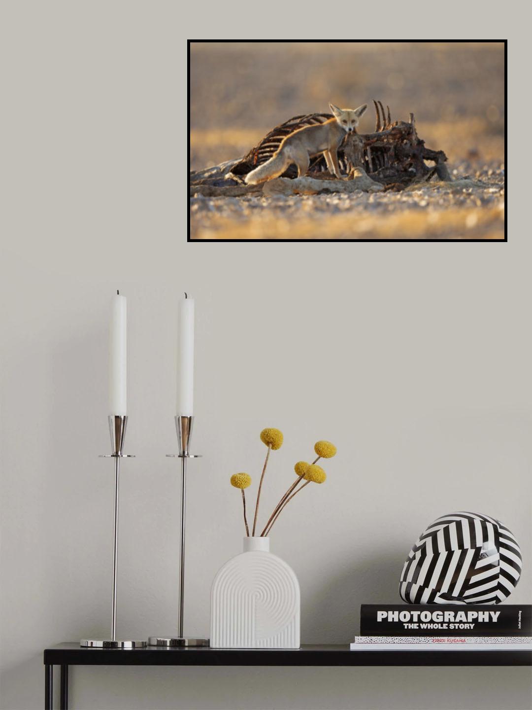 Desert Fox and a Carcass Poster och Canvastavla