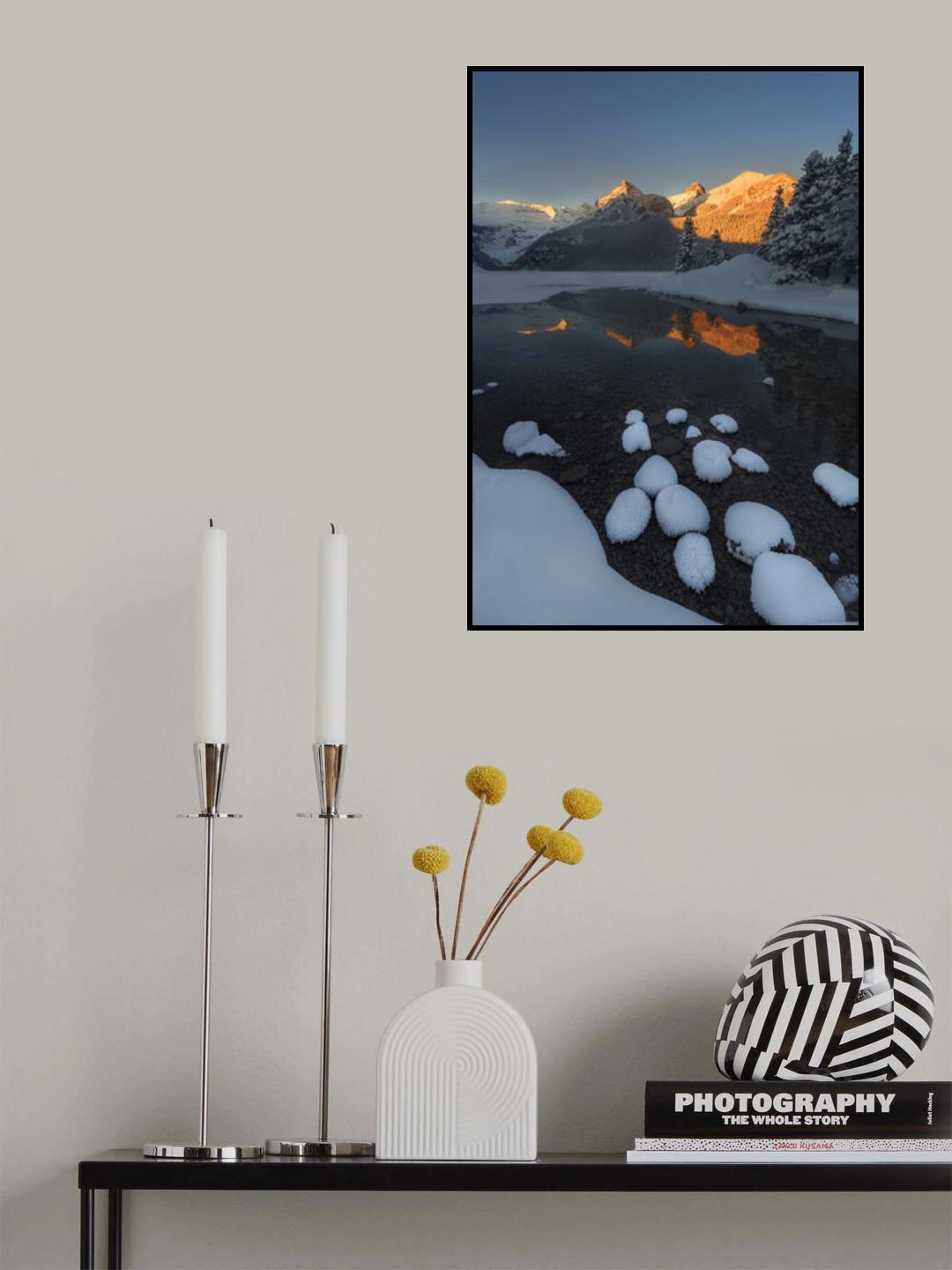 GOLDEN MORNING IN SNOW Poster och Canvastavla