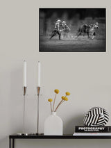 The Arena Poster och Canvastavla