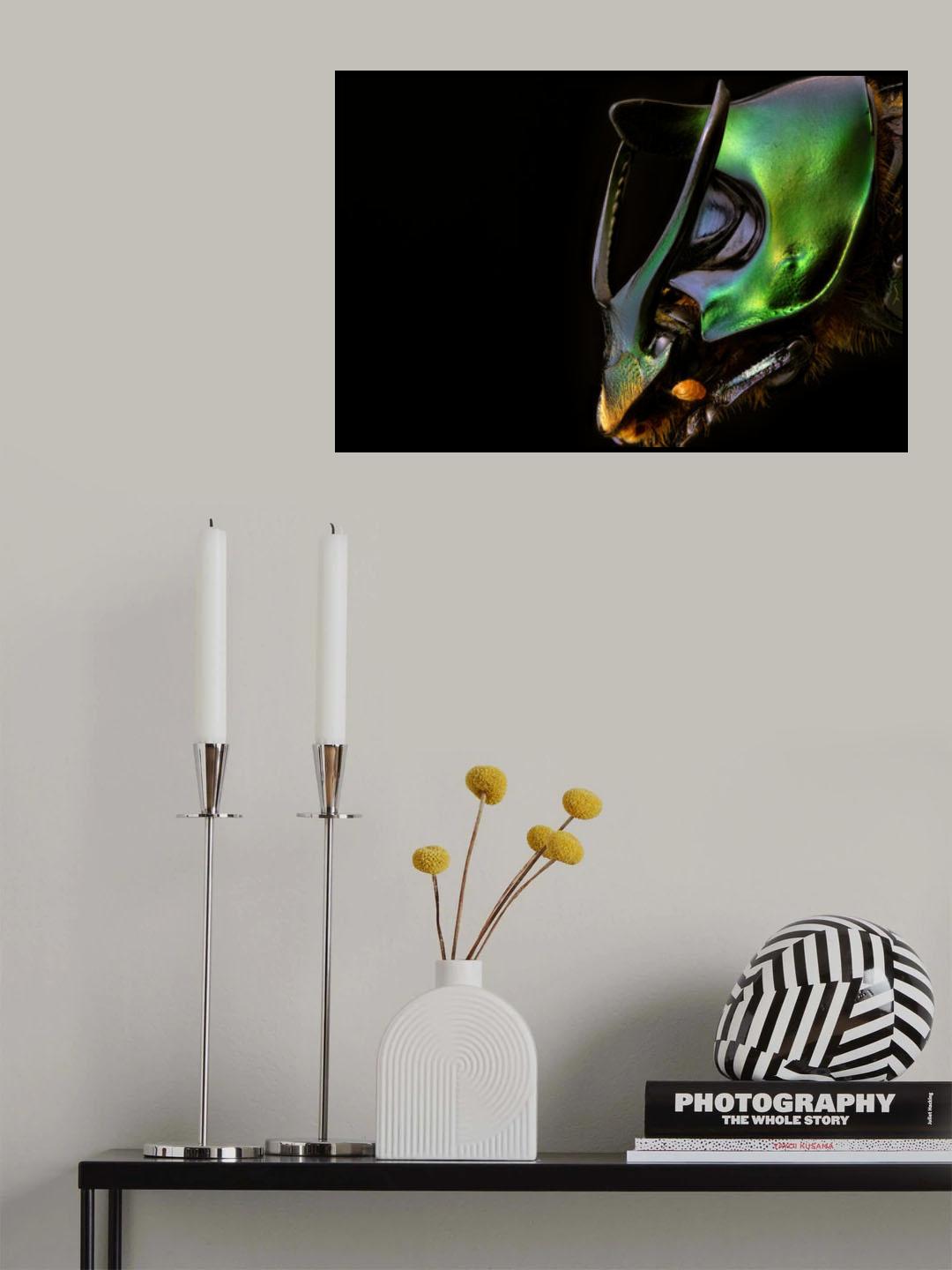 Onthophagus mouhouti Poster och Canvastavla