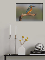 Irritably! Poster och Canvastavla