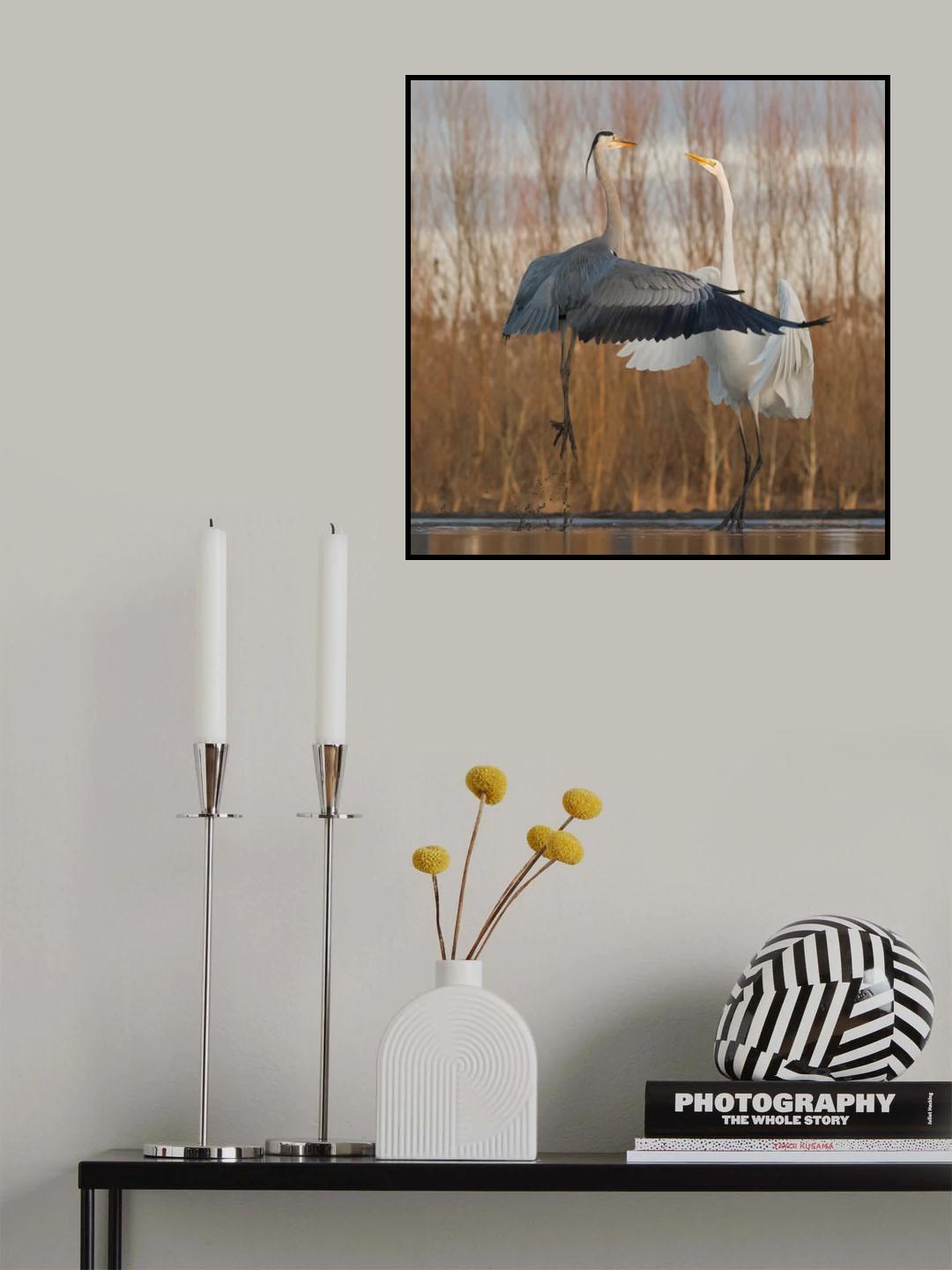 I am taller. Poster och Canvastavla