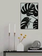 Monstera Teal 08 Poster och Canvastavla