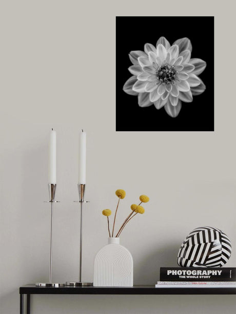 Dahlia Poster och Canvastavla