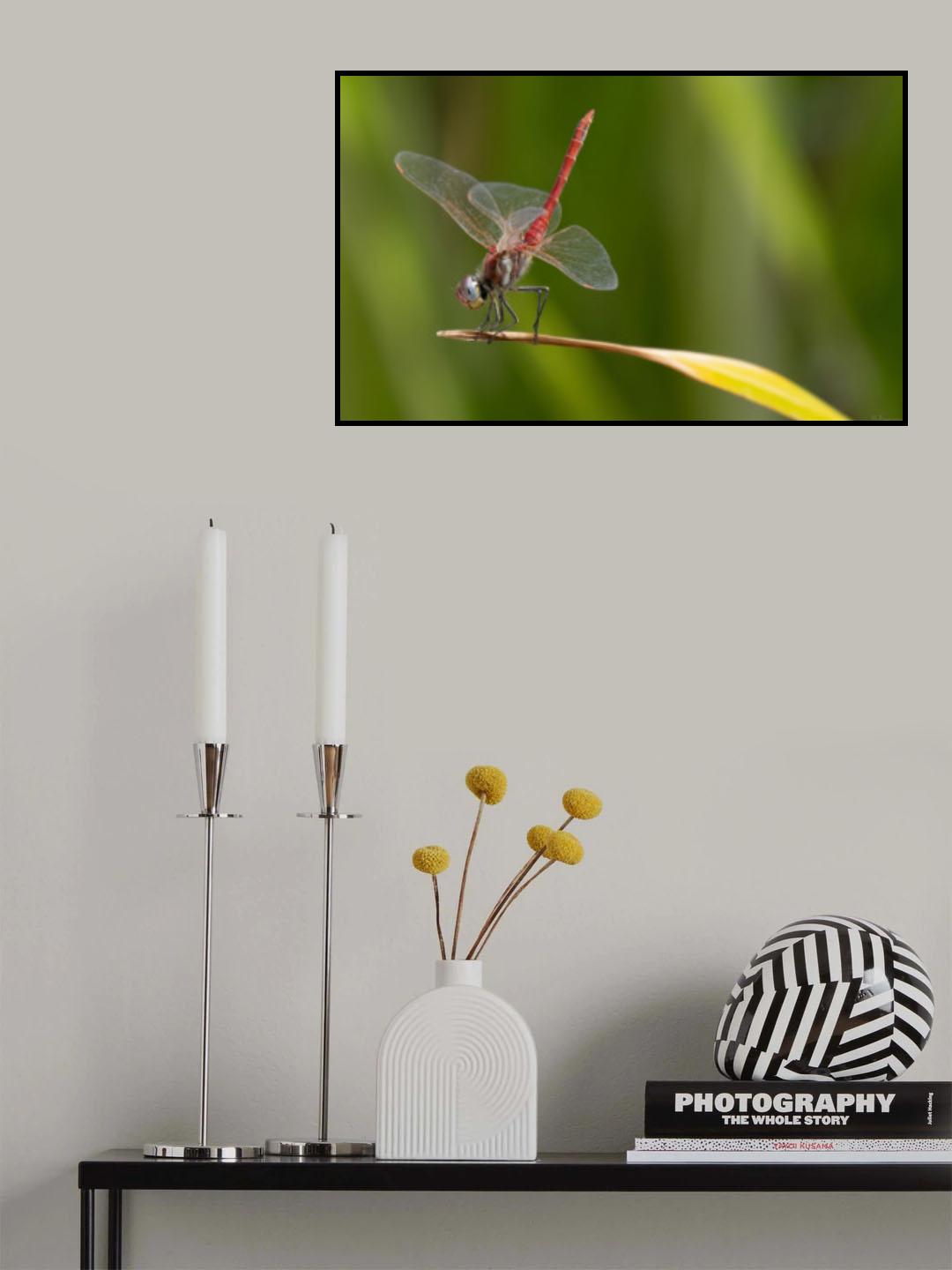 Poster och Canvastavla