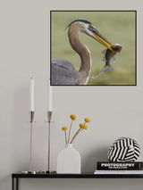 Poster och Canvastavla