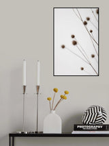 Thistle Grey 02 Poster och Canvastavla